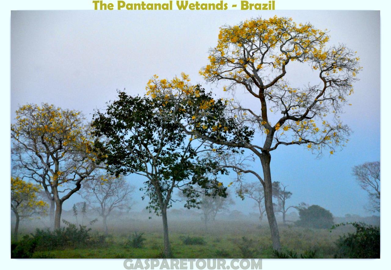 Dom Bosco Hostel Cuiabá Buitenkant foto